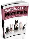 Multitudes Of Mammals